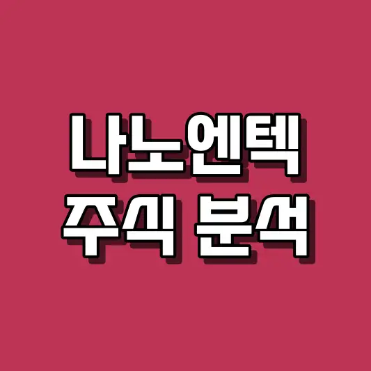나노엔텍 주식 분석
