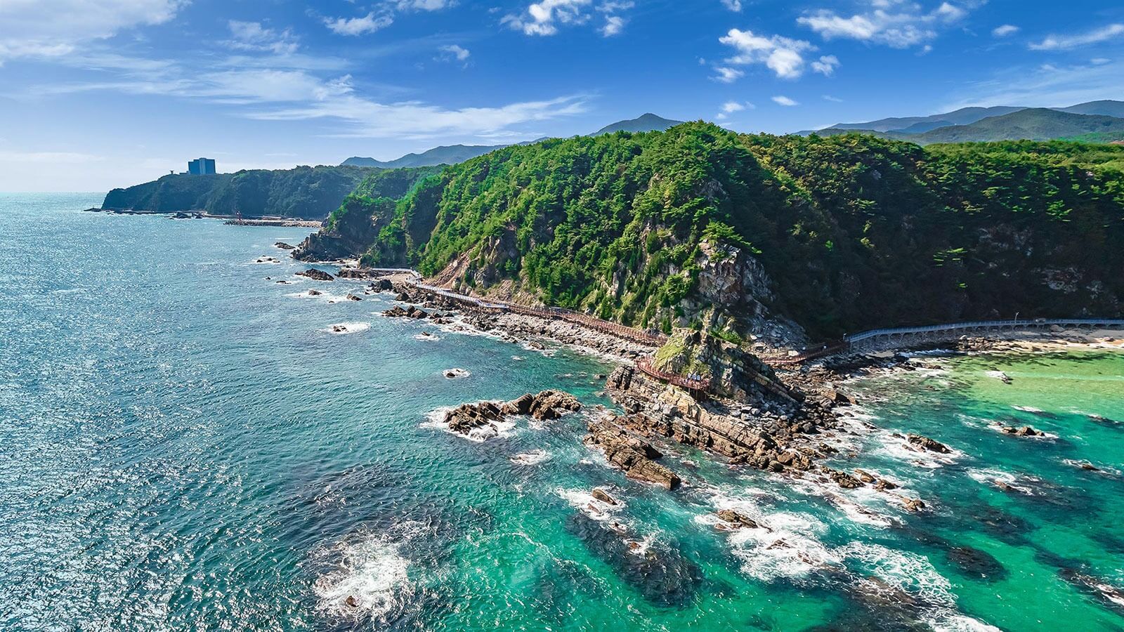 정동심곡 바다부채길 여행 정보