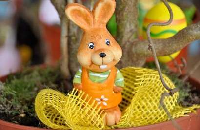 2026년 병오년 토끼띠 신년운세