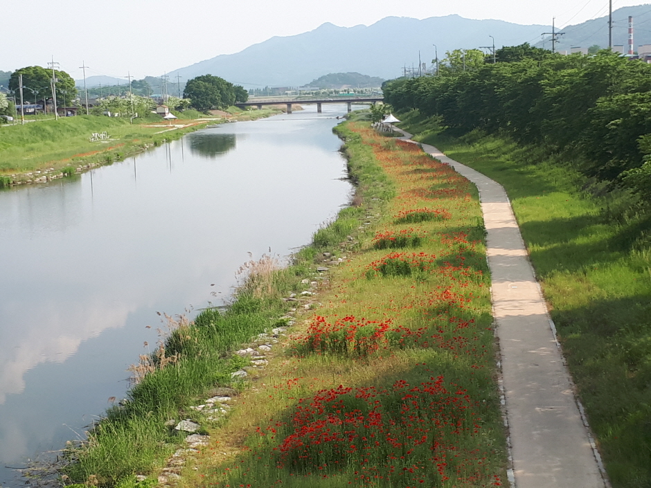 임실 가볼만한곳 베스트10