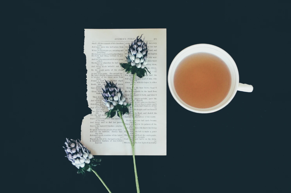 보이차의 효능과 부작용, 보이차 끓이는법, 보관법, 보이차의 종류