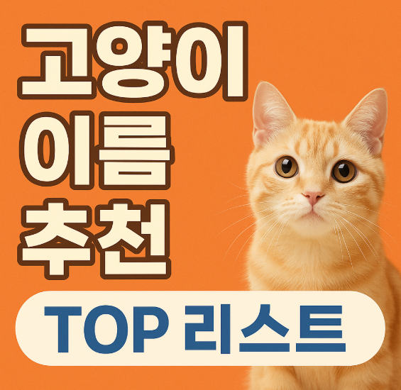 고양이 이름 작명법 완전정복 &ndash; 초보 집사 필독
