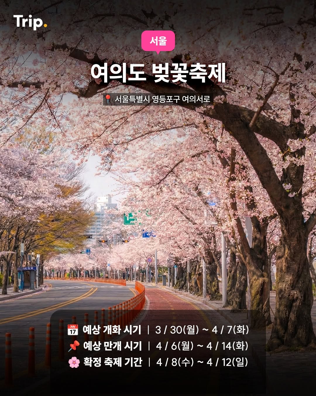 여의도 봄꽃축제 (서울)-봄바람 벚꽃축제지도