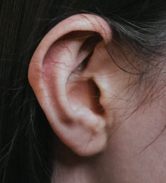 이명 치료 방법 증상 원인