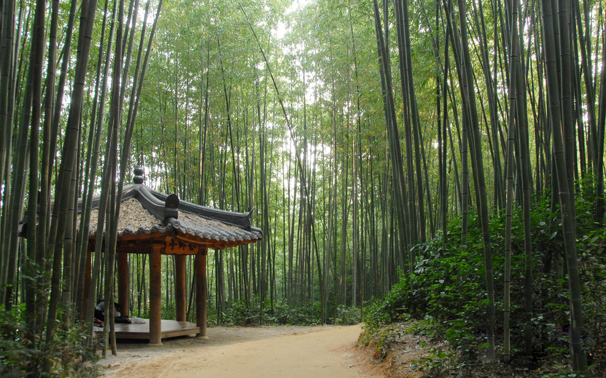 2025 건강도시 스탬프 투어