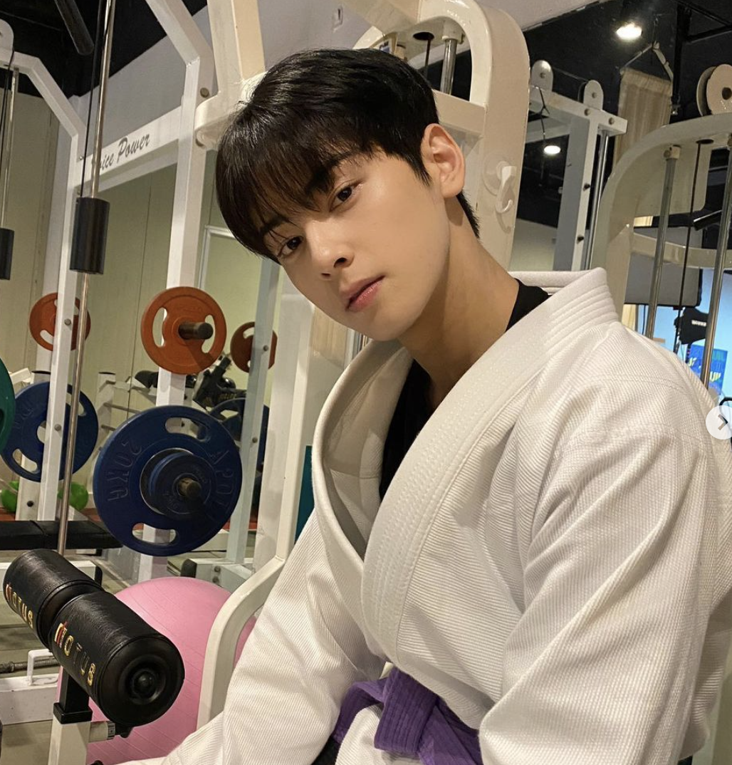 차은우