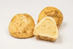 감자