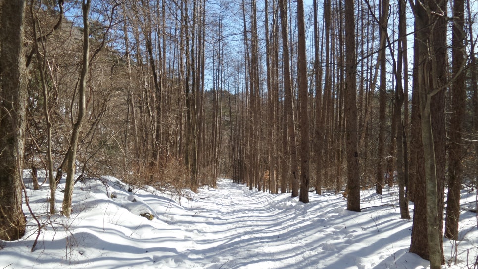 100대 명산 등산하기 평창 계방산(桂芳山, 1,577m) 설악·오대산과 함께 강원도 고산지대의 대표 명산
