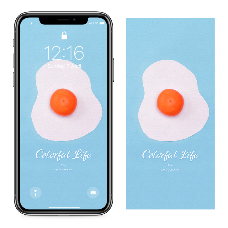 04 홍시 C - Colorful Life 아이폰심플배경화면