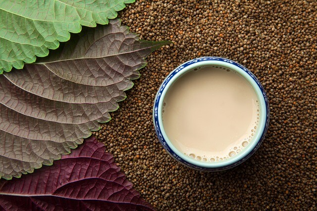 장마철 심으면 좋은 식물