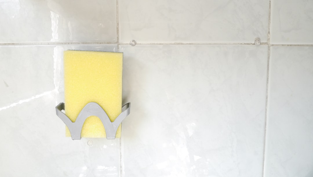 Sponge