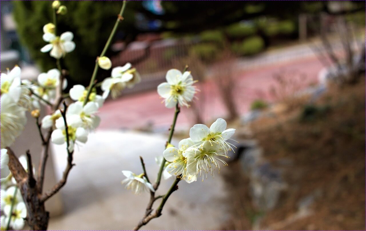 적금금리 높은 곳