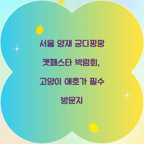 서울 양재 궁디팡팡 캣페스타 박람회