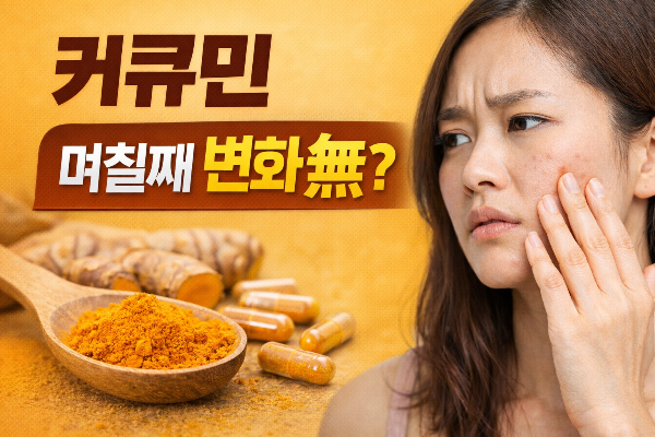 커큐민 효과