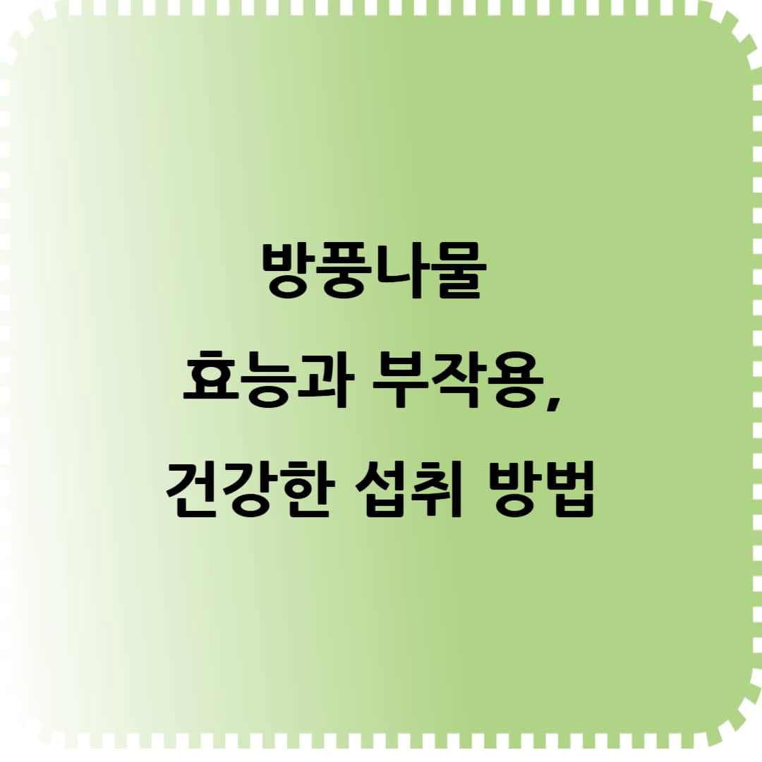 봄 제철 슈퍼푸드! 방풍나물 효능과 부작용, 건강한 섭취 방법