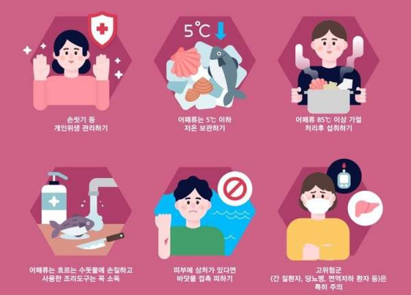 비브리오패혈증 사망자 올해 첫 발생: 치사율 50% 예방법과 고위험군 주의사항 총정리
