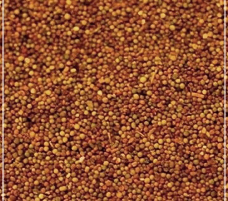 토사자의 효능: 건강을 지키는 자연 치료제