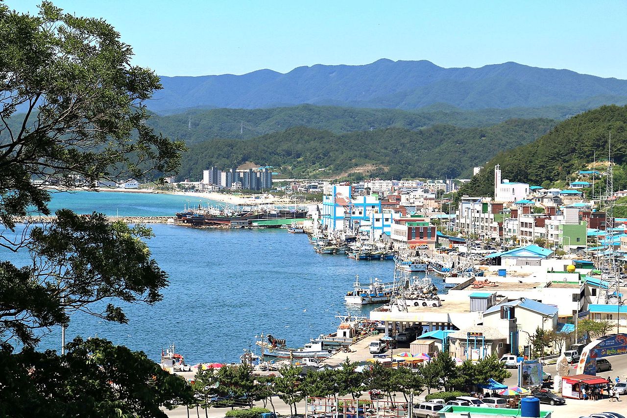 울릉도 배편시간표