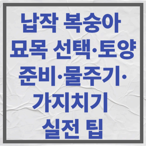 납작 복숭아 묘목 선택&middot;토양 준비&middot;물주기&middot;가지치기 실전 팁