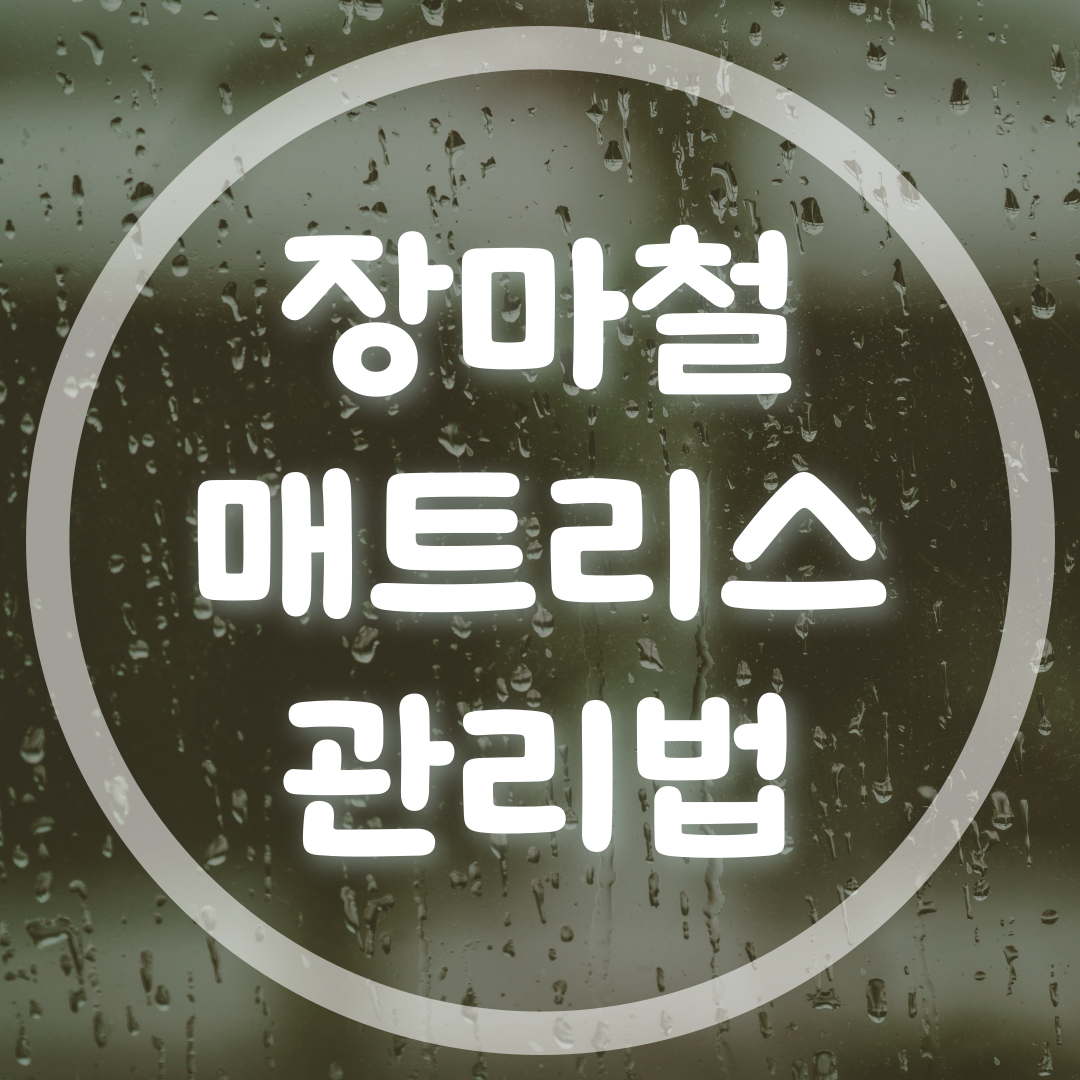 장마철 매트리스 관리법
