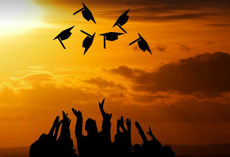 인문계 논술 관련 사진