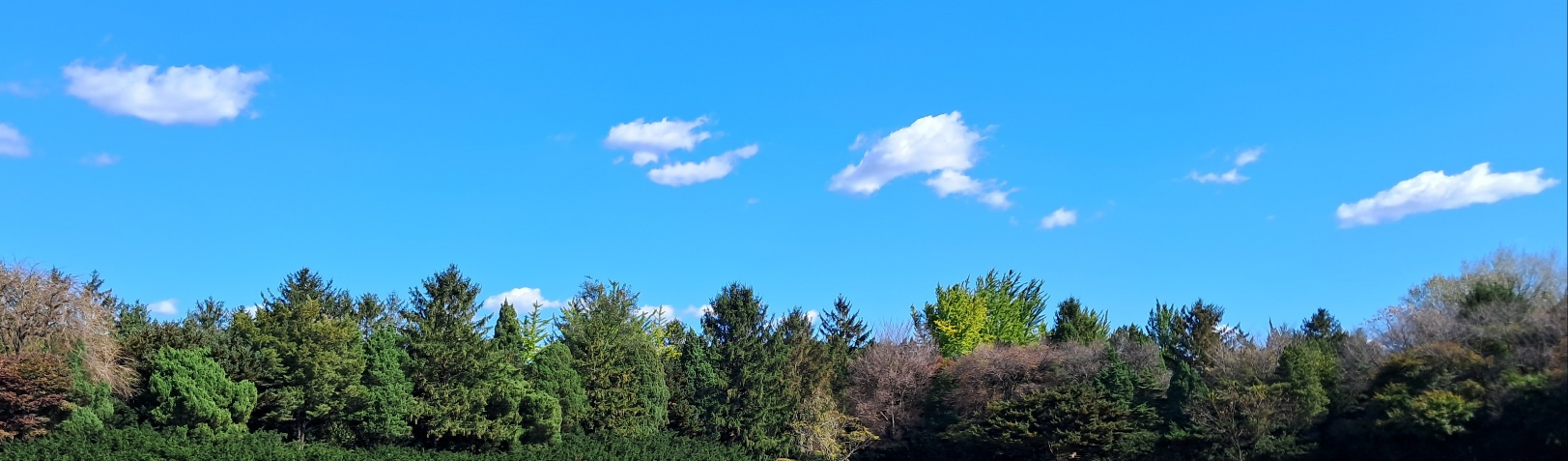 화담숲 예약하기