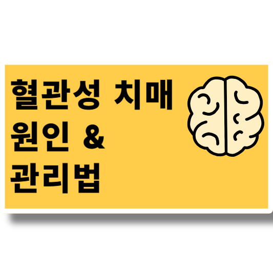 혈관성 치매 원인과 관리법