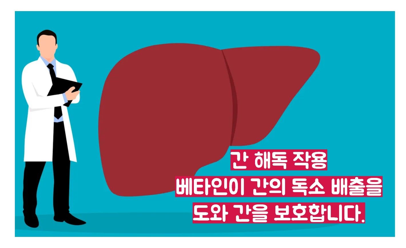 비트 효능
