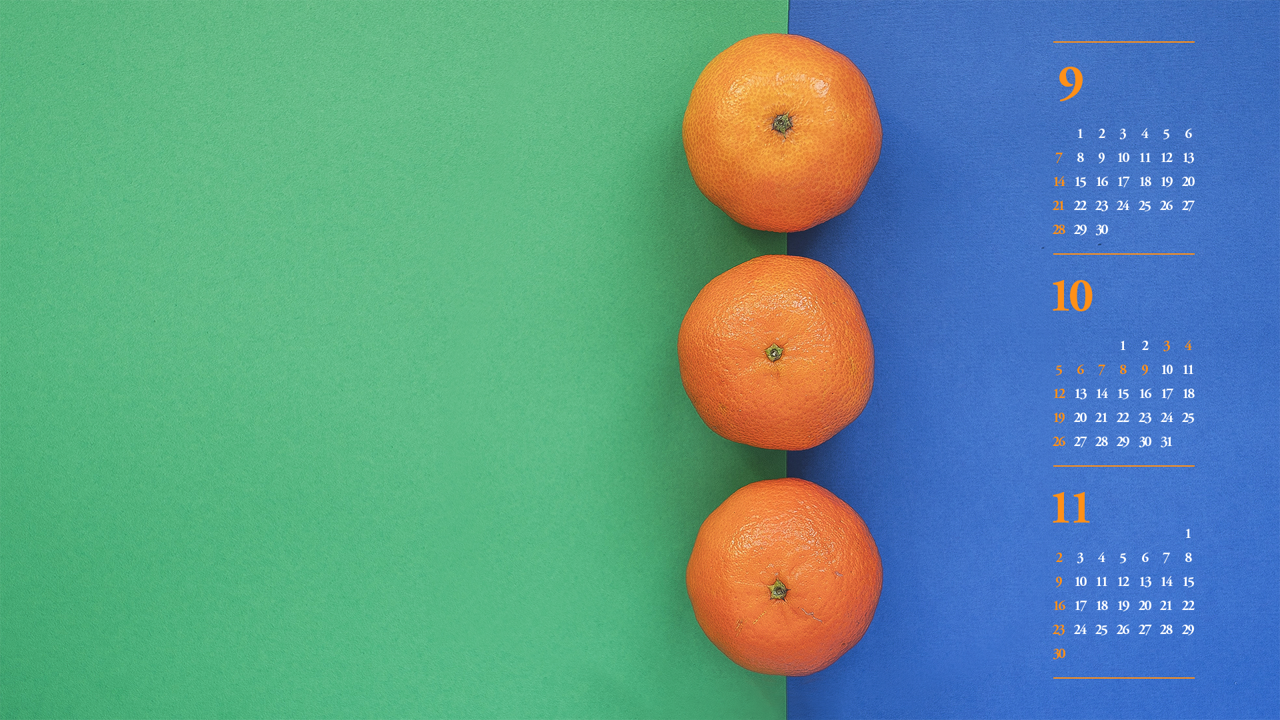 09 감귤 파란색 배경 B - 2025년10월 노트북배경화면