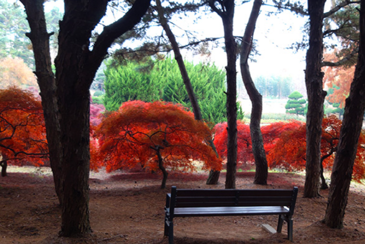 익산 아가페정원