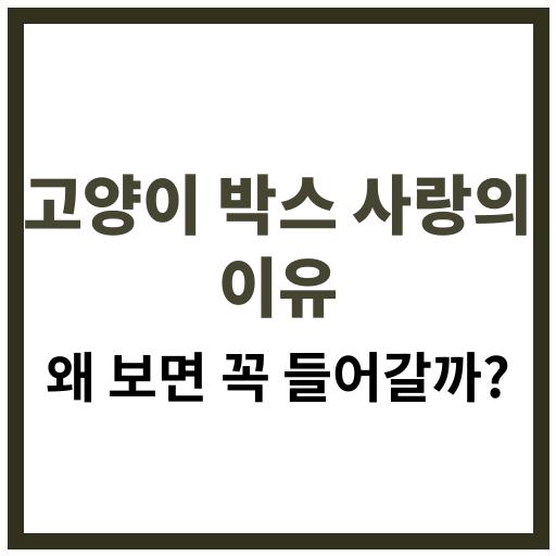 고양이가 박스를 보면 꼭 들어가는 행동의 심리학적 원인과 본능 설명