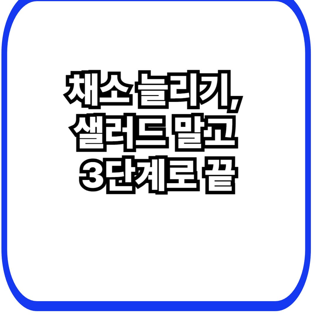채소 섭취량 늘리는 3단계(현실 버전): 40대 여성 ‘샐러드 실패’ 없이 매일 채소 먹는 루틴