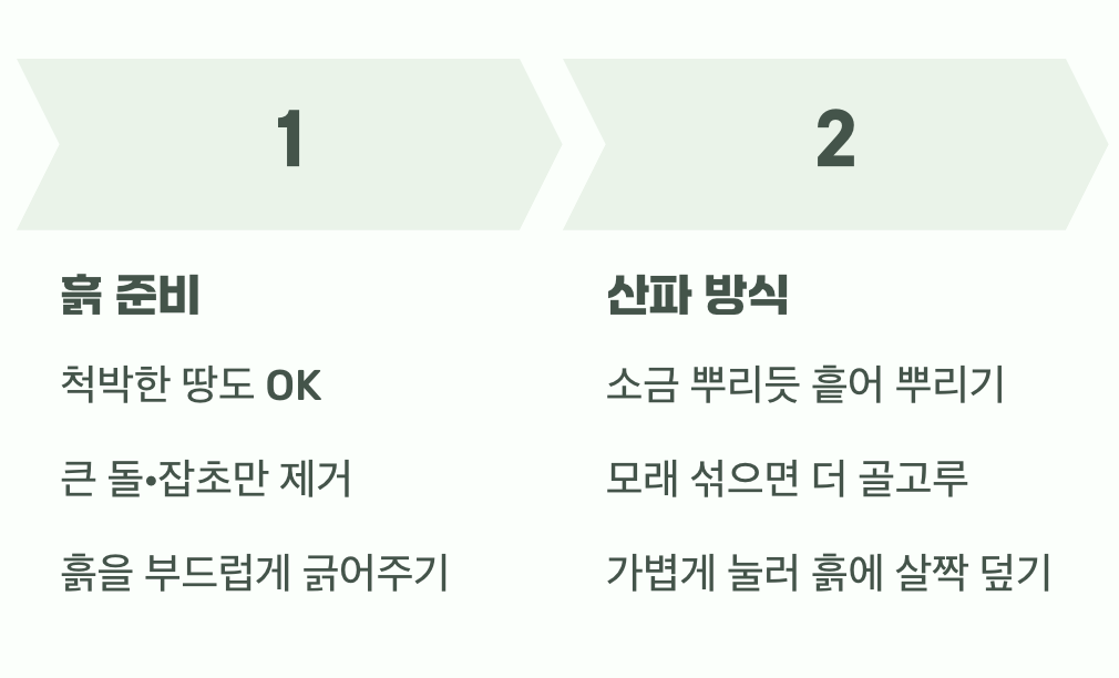 흙과 씨앗의 첫 만남