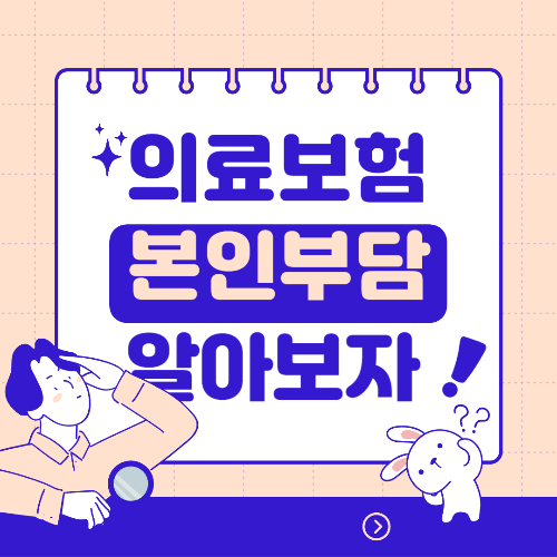 국민건강의료보험 본인부담제 정보 출처 : 자체 제작
