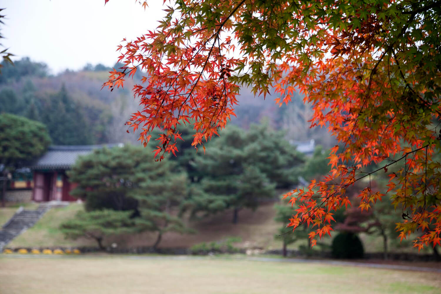 2025 화담숲 예약 방법