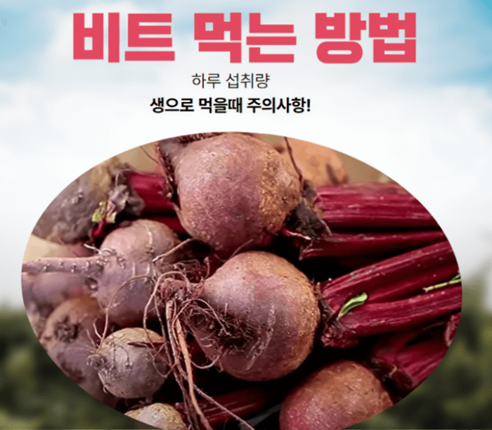 비트_먹는_방법