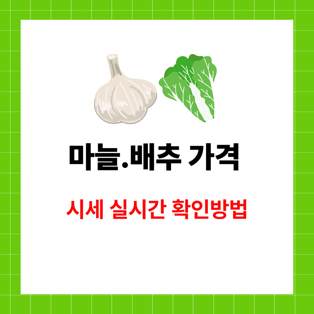 2025년 마늘, 배추 가격 실시간 확인방법