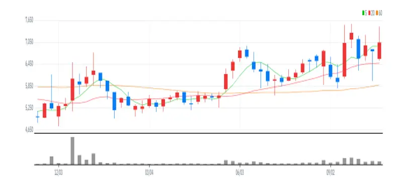 로체시스템즈 주봉