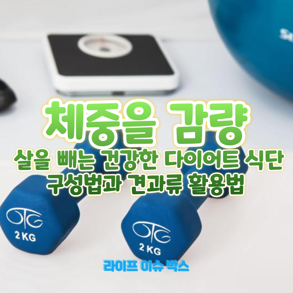 건강한 다이어트 식단 구성법