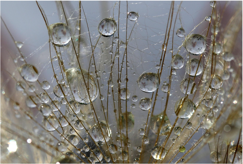 선명한 시야를 방해하는 굴절이상이란 무엇인가요?