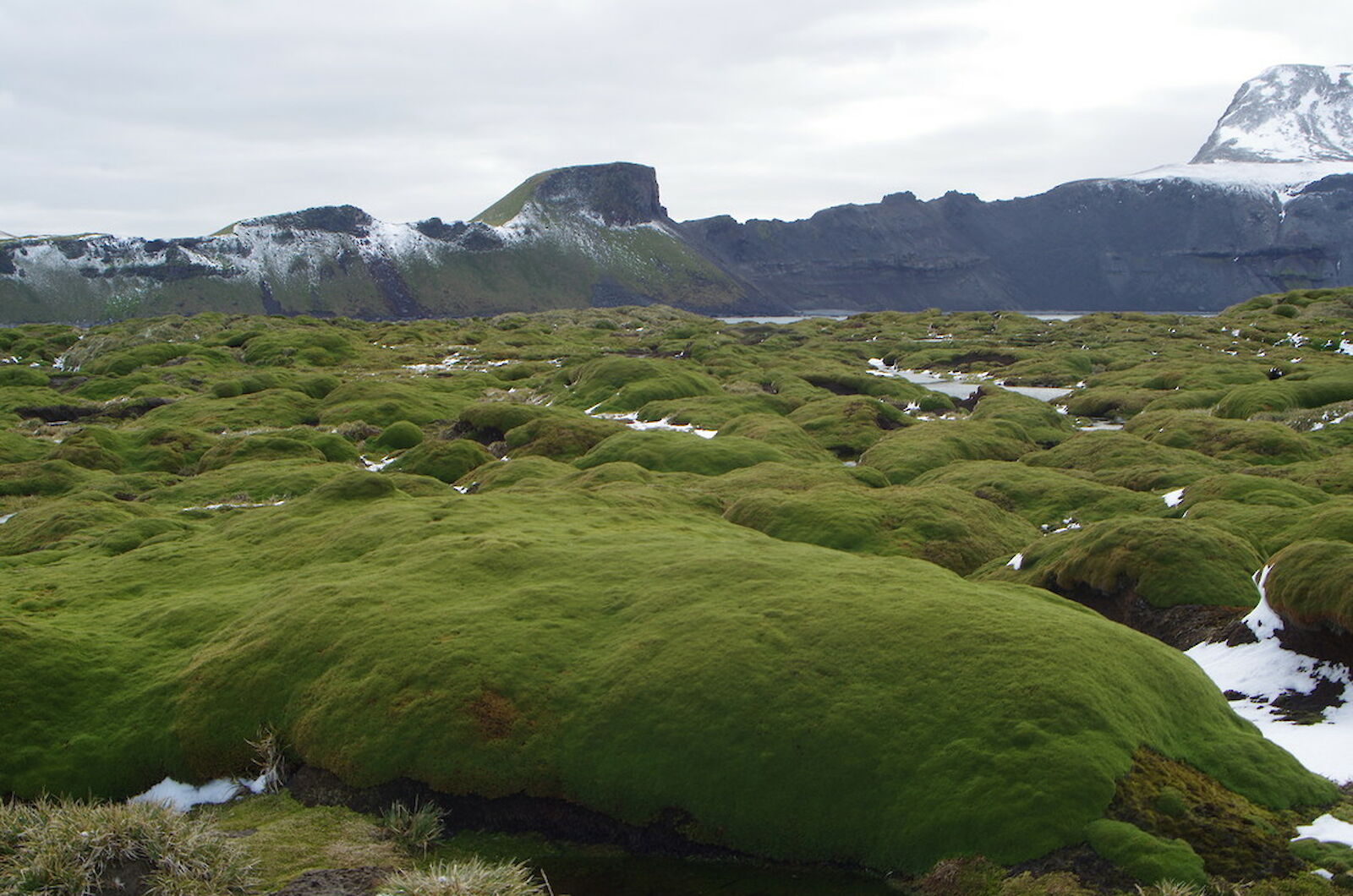 유네스코 세계유산 허드섬과 맥도널드 제도 영토