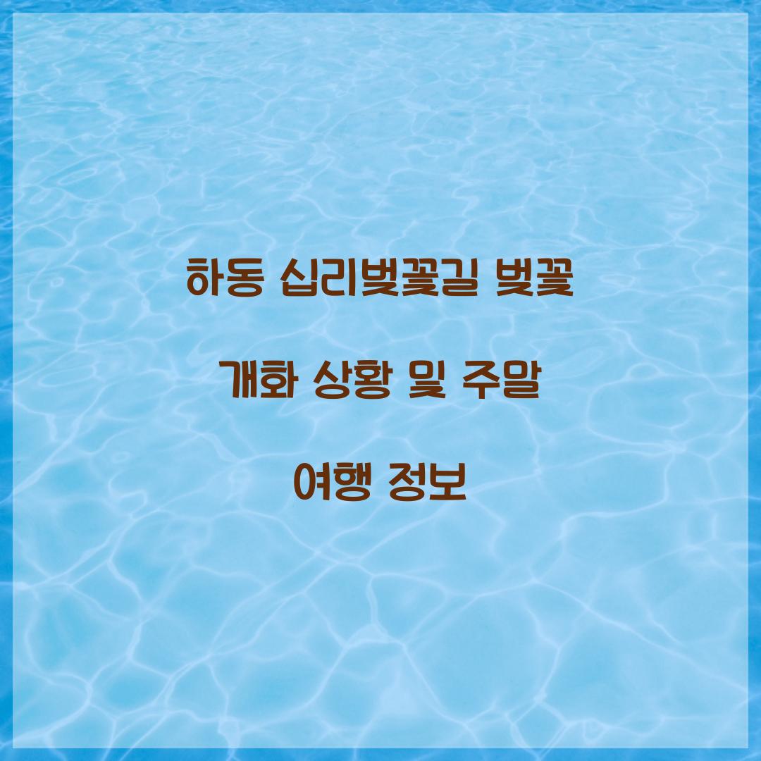 하동 십리벚꽃길 벚꽃 개화 상황