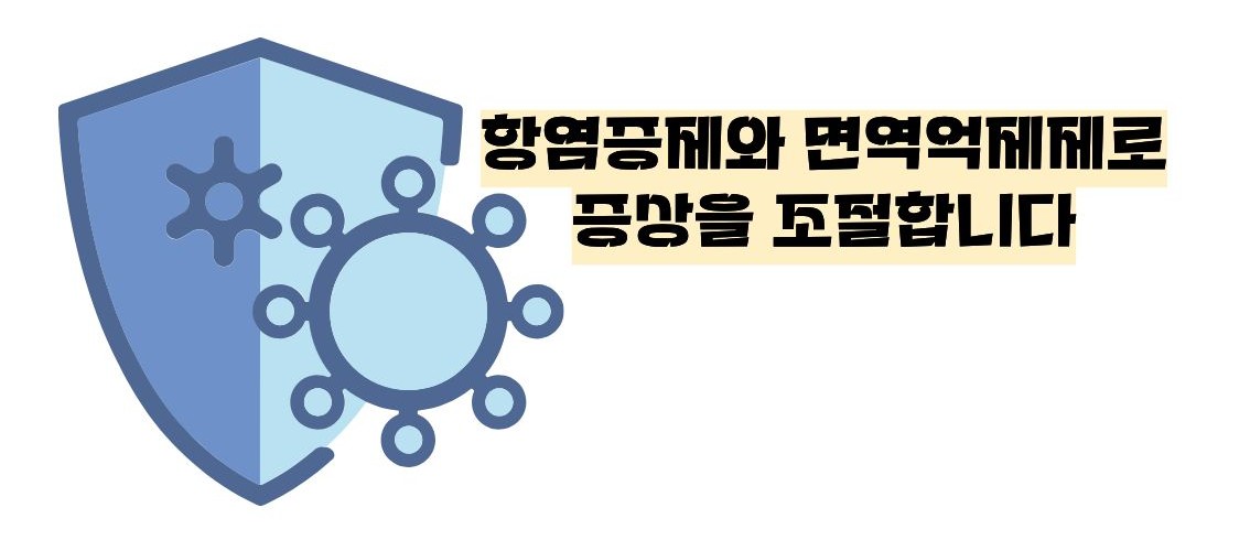 루푸스병 이란