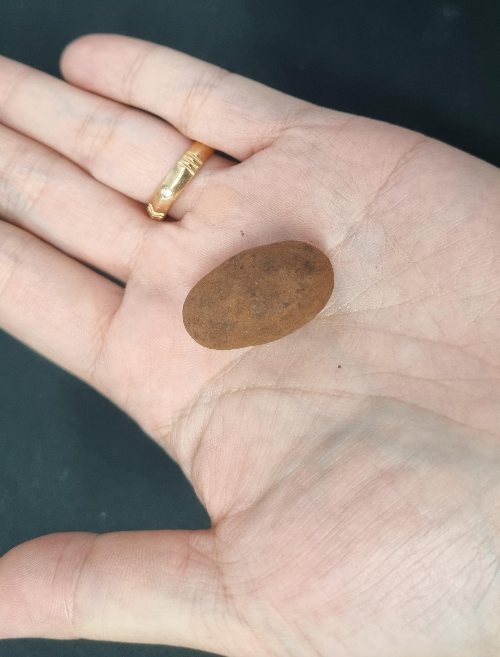 버릴스 티라미수 초콜릿