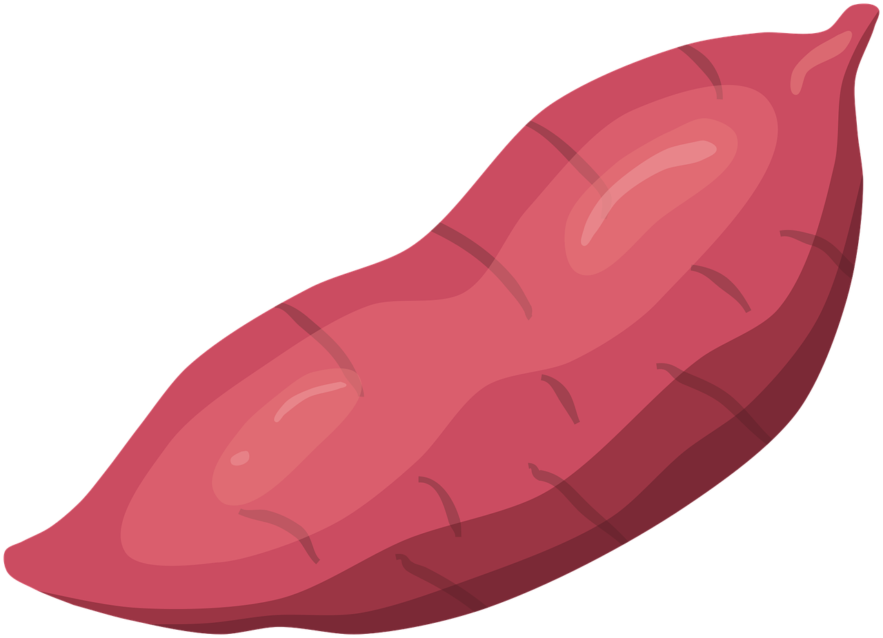 탄수화물_고구마_사진