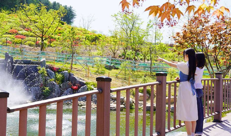 가평 베고니아 새정원