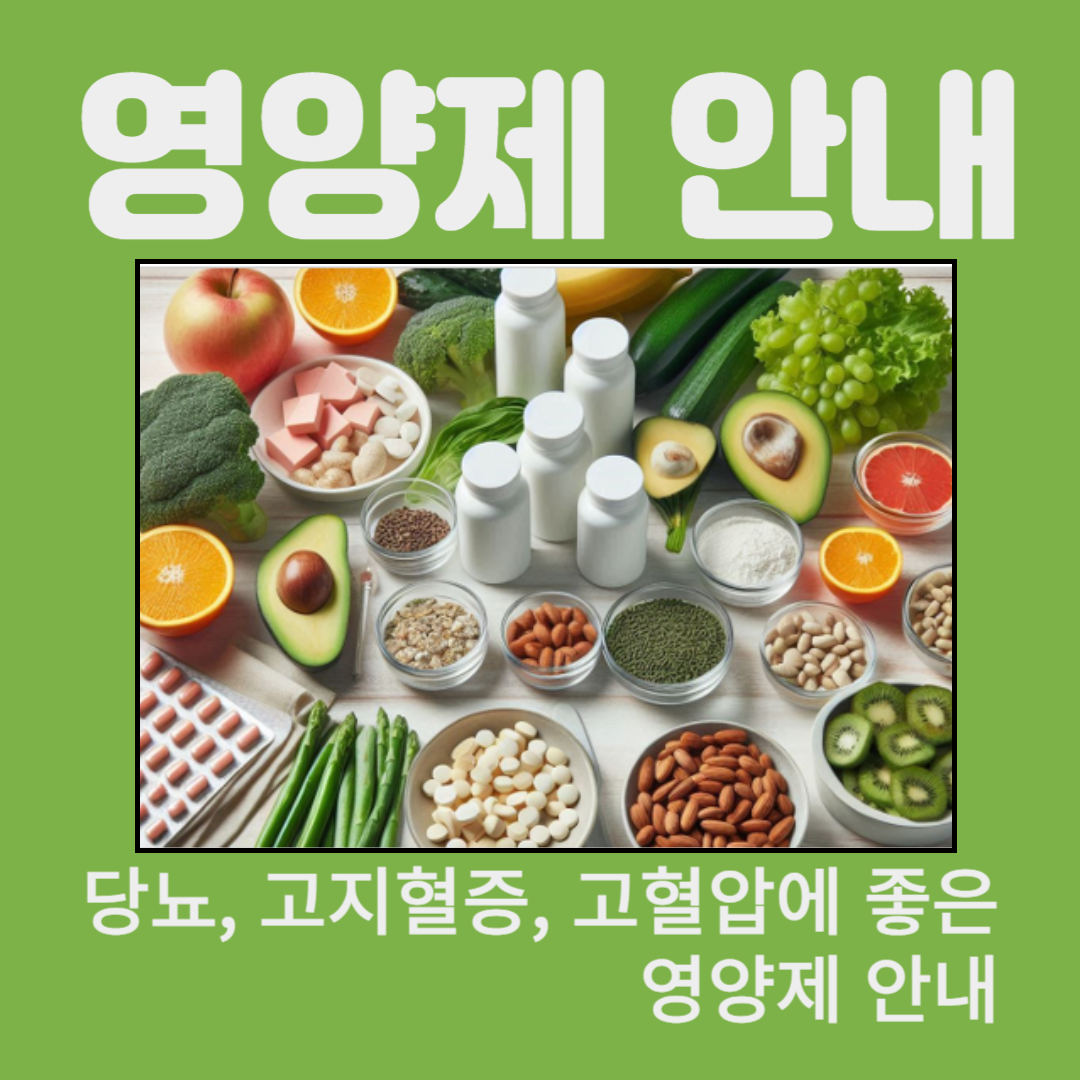 영양제 안내