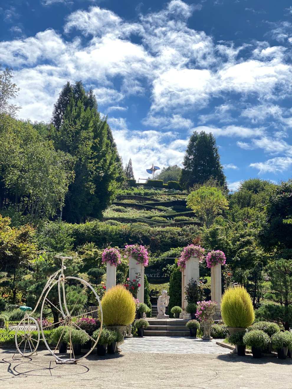 피나클랜드 튤립 수선화 축제
