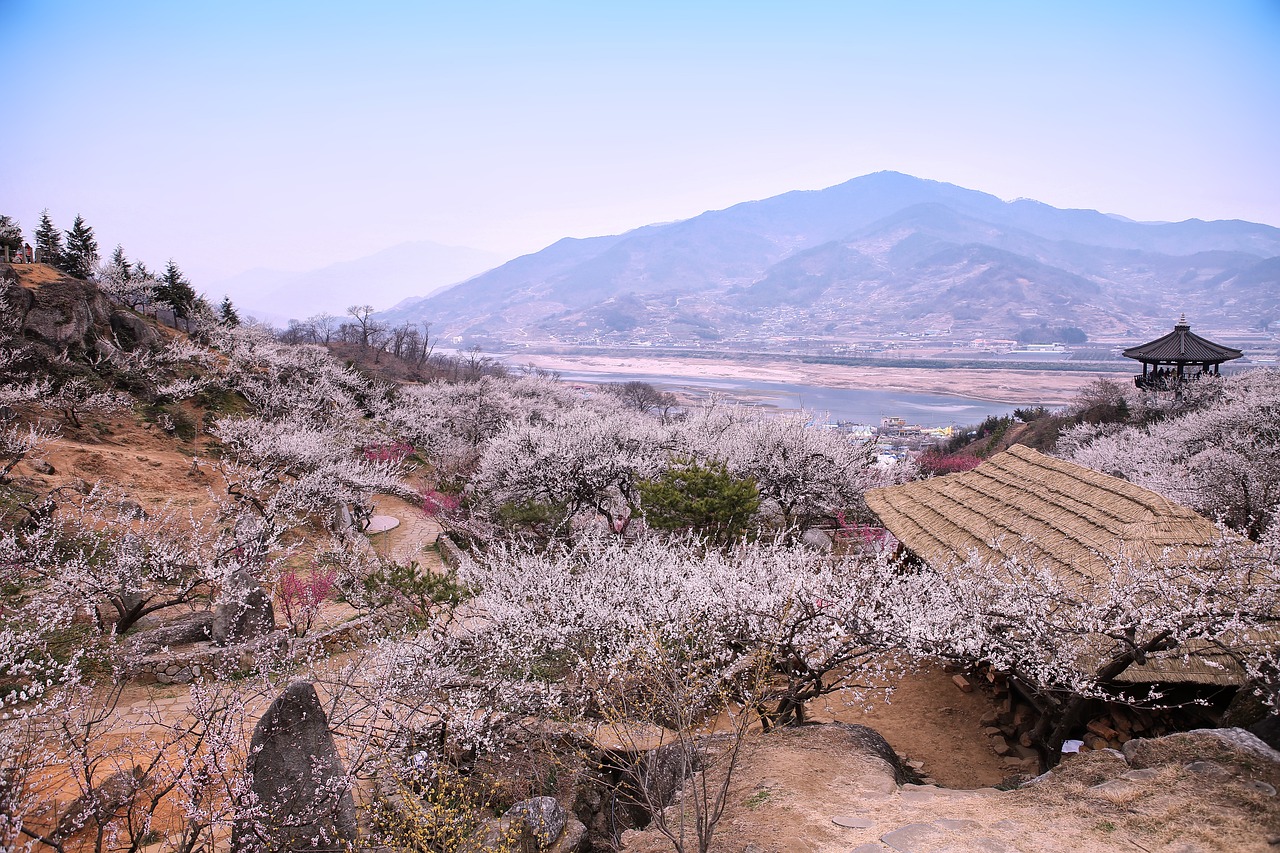 광양 정착 리얼 가이드 &mdash; 산업과 일상, 두 얼굴을 가진 도시