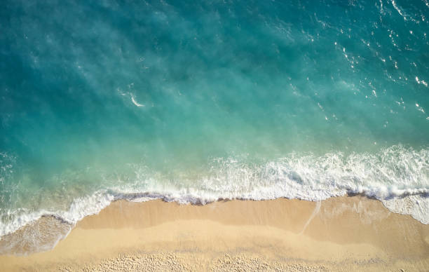 서울엔 한강, 부산엔 해운대! 우리나라 지역마다 없어선 안 될 것들